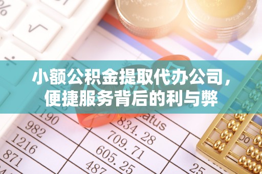 河口小额公积金提取代办公司，便捷服务背后的利与弊